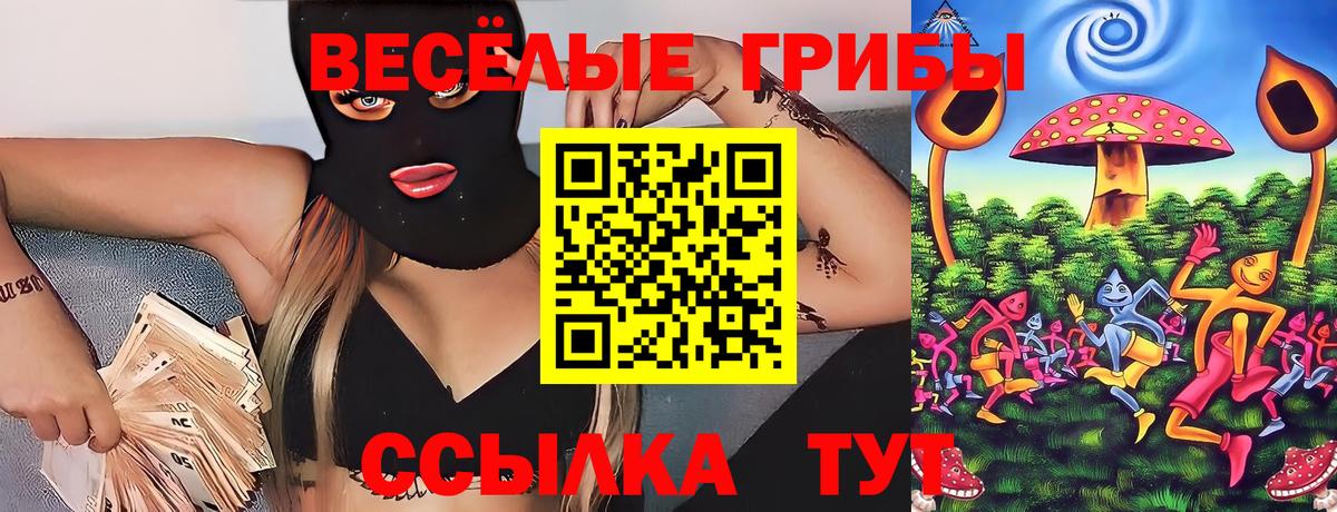 Псилоцибиновые грибы прущие грибы Кунгур